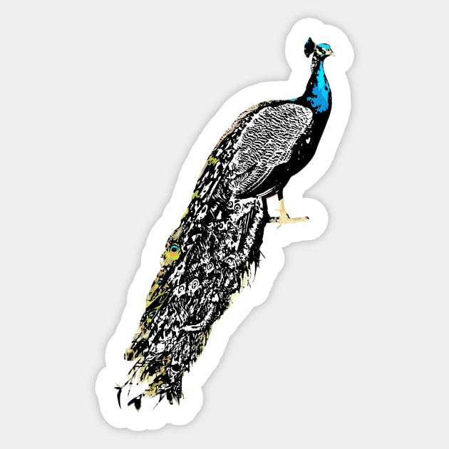 Peacock Digital Art | Melanie Jensen Illustrations Sticker by illusima